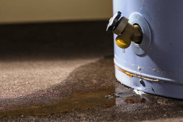 Best Flood damage cleanup  in Goodhue, MN