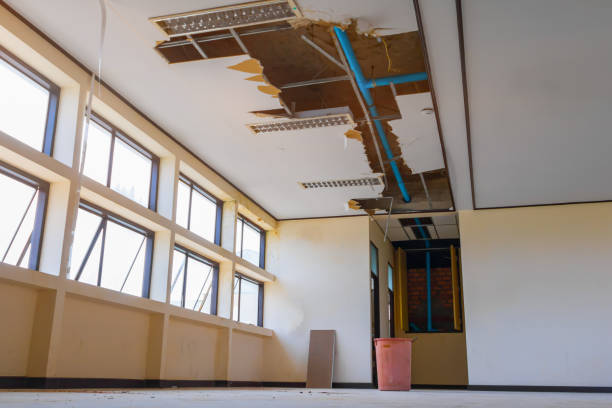 Best Commercial water damage restoration  in Goodhue, MN