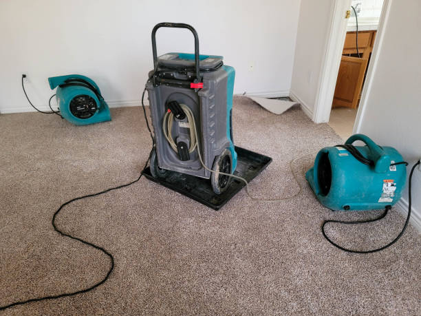  Goodhue, MN Water damage restoration Pros