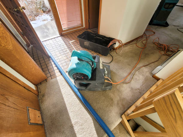 Best Water damage mitigation services  in Goodhue, MN