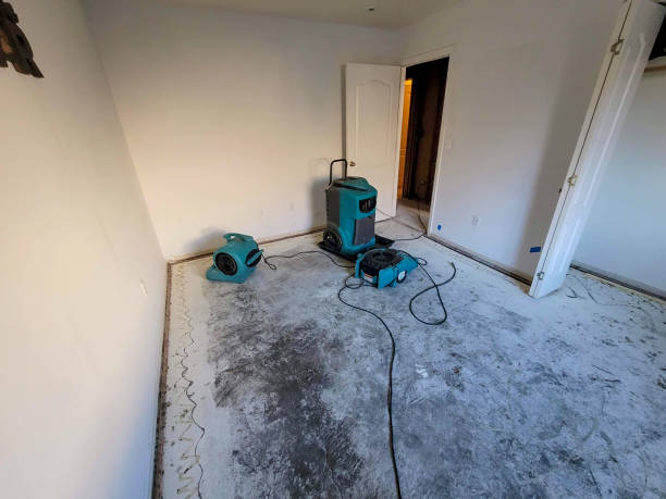 Best Local water damage restoration  in Goodhue, MN