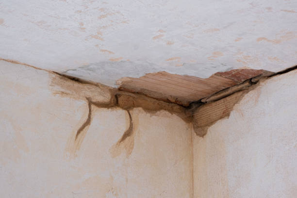 Best Emergency water damage restoration  in Goodhue, MN