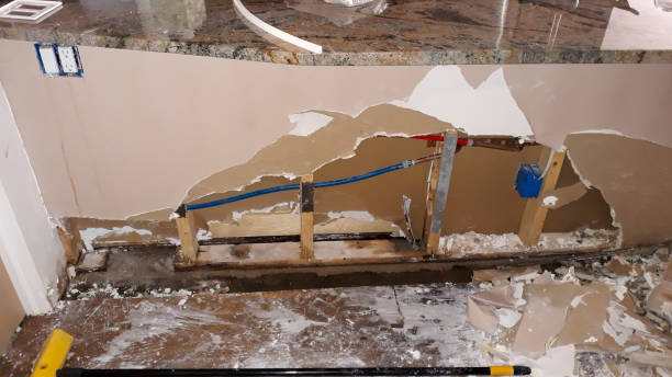 Best Water damage cleanup near me  in Goodhue, MN