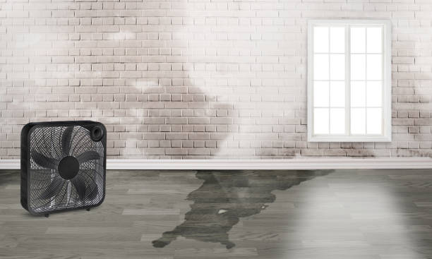 Best Residential water damage restoration  in Goodhue, MN