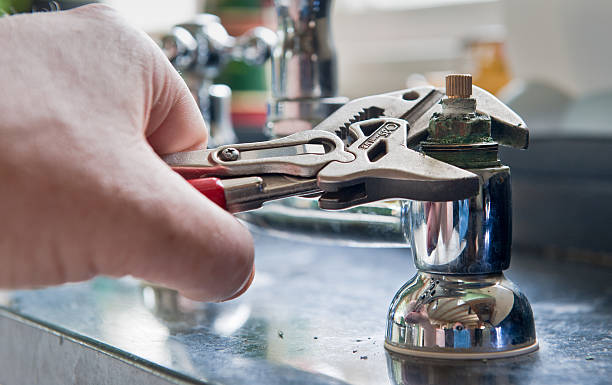 Best Flood restoration services  in Goodhue, MN