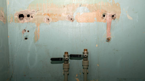 Best Water damage restoration experts  in Goodhue, MN