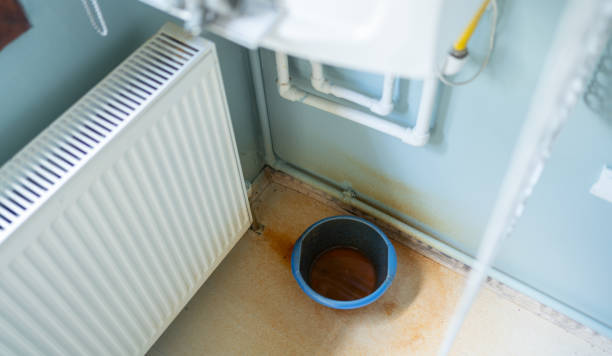 Best Basement water damage restoration  in Goodhue, MN