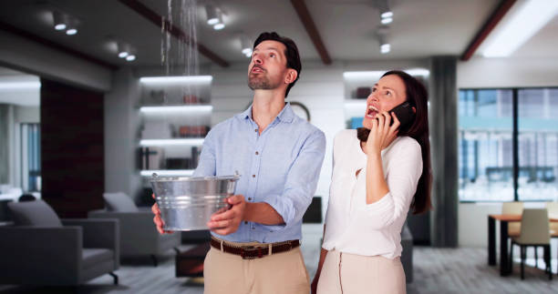 Best Professional water damage repair  in Goodhue, MN
